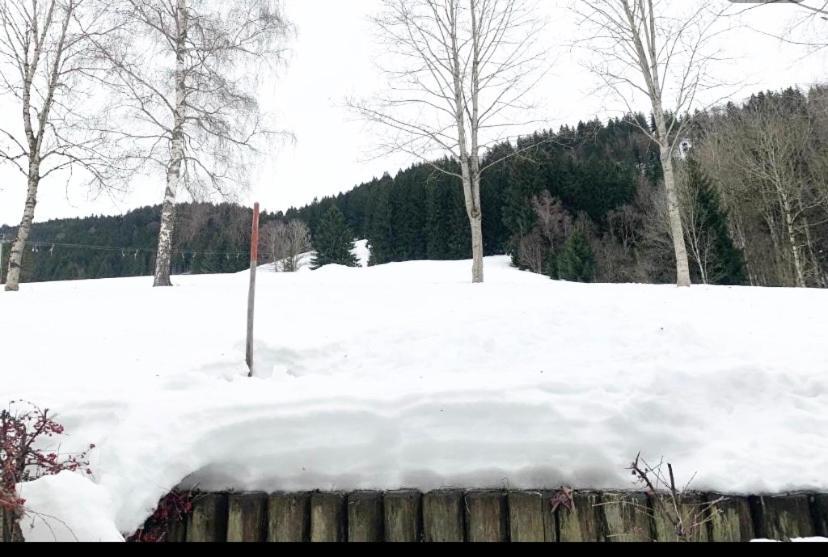 Fewo Alpenwiese Mit Hallenbad&Sauna Missen-Wilhams Eksteriør billede