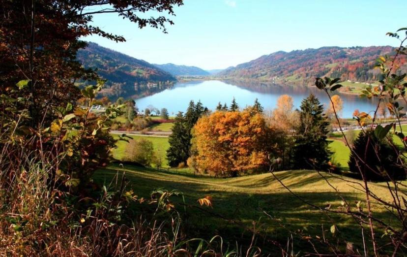 Fewo Alpenwiese Mit Hallenbad&Sauna Missen-Wilhams Eksteriør billede